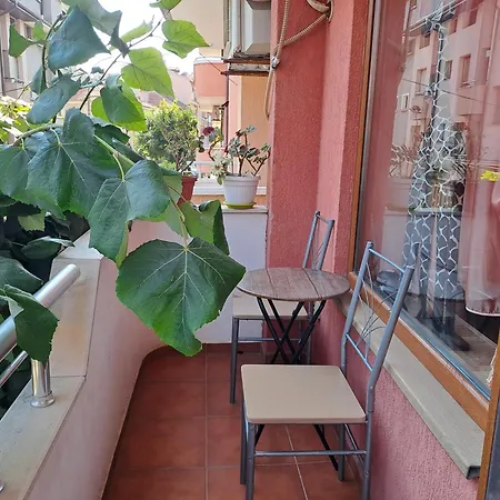 Guest house 